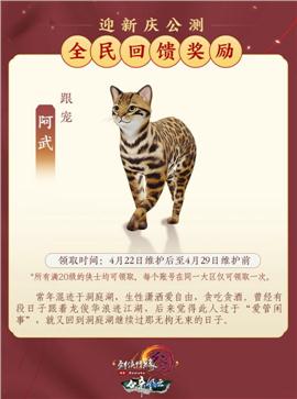 天龙八部私服很花钱